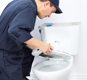 A plumber inspecting a toilet